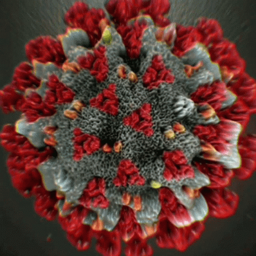 Wp 1654279059206