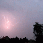 wp-1664553178744.gif