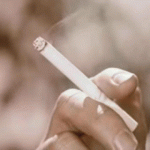 wp-1669396824025.gif