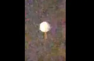 1480749079-2-l-analisi-si-quello-avvistato-a-mazara-e-un-ufo-ecco-perche
