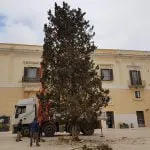 Wp 1481121320360