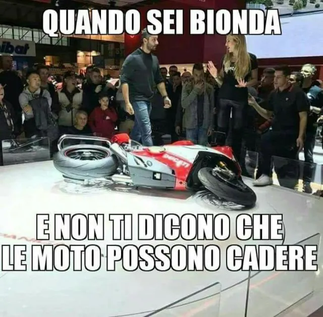 Fb Img 1510622278395 213142575