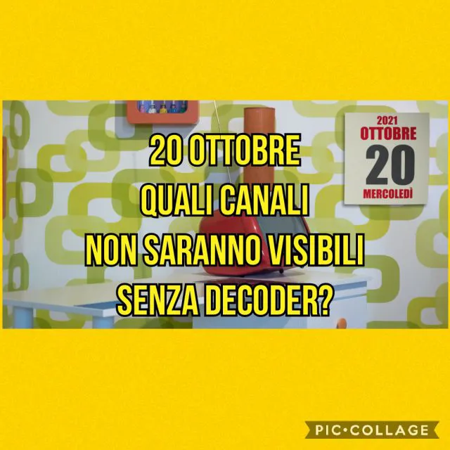 Collage 2021 10 19 14 19 45